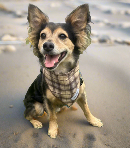 Plaid Pup – Cream Plaid Bandana