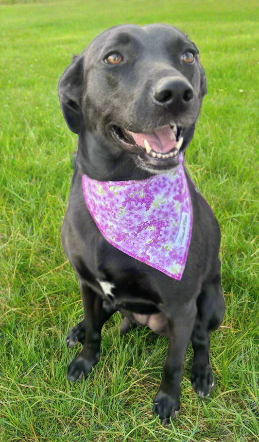 Bloom & Bark – Lilac Bandana