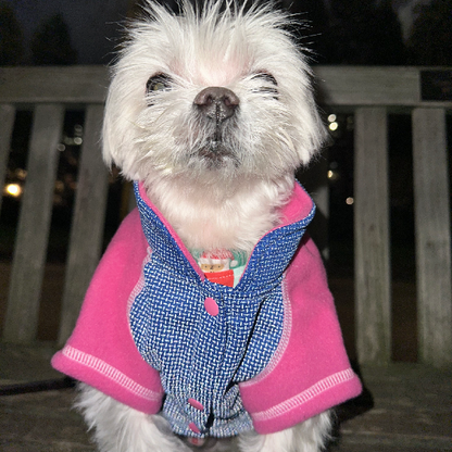 Visible Body Temperature Regulated Fleece Jacket - IllumiNITE -Pink