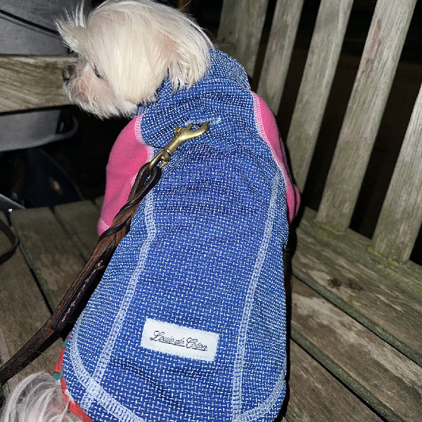 Visible Body Temperature Regulated Fleece Jacket - IllumiNITE -Pink