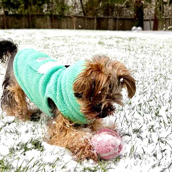 Calming Pullover Fleece Jacket -Polartec® Thermal Pro®- Minty