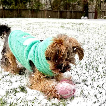 Calming Pullover Fleece Jacket -Polartec® Thermal Pro®- Minty