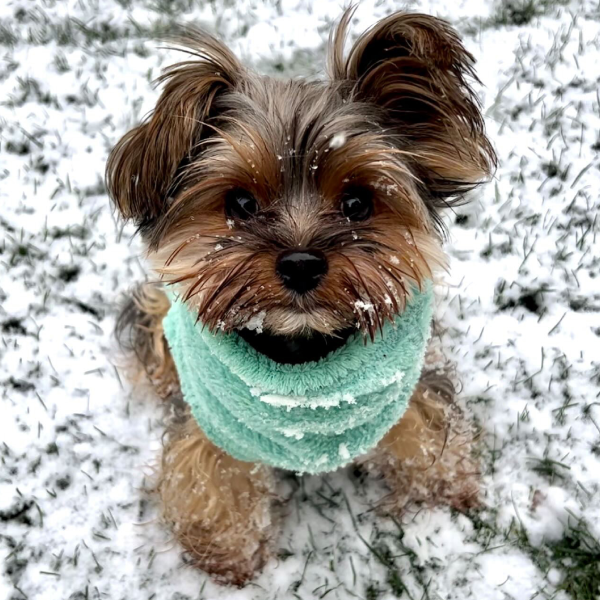 Calming Pullover Fleece Jacket -Polartec® Thermal Pro®- Minty