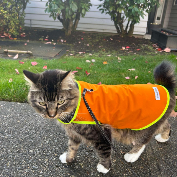 Waterproof Rain Coat - Polartec® NeoShell® - Sunset