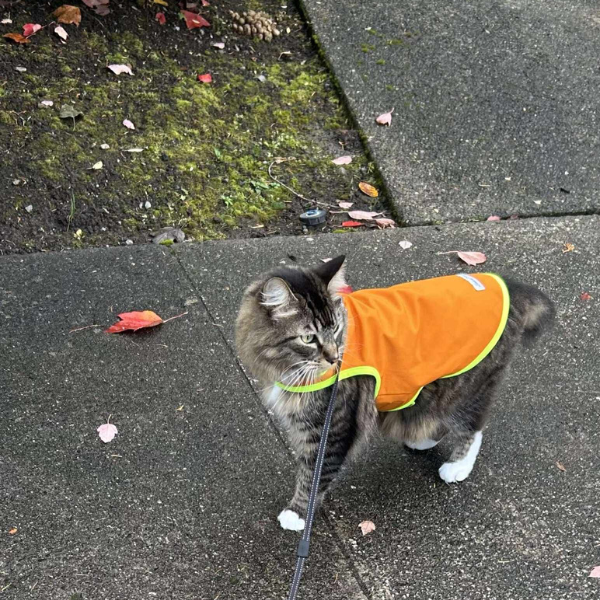 Waterproof Rain Coat - Polartec® NeoShell® - Sunset