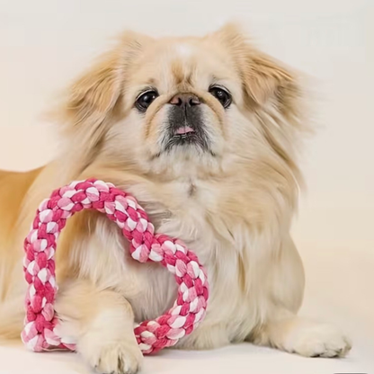 Dog Rope Toy - Mixed