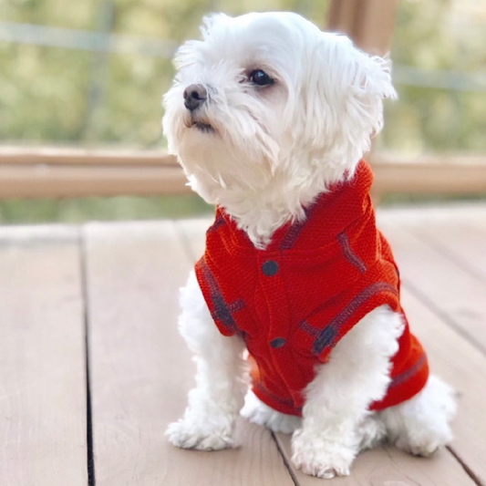 Polartec® Thermal Pro® Calming Fleece Jacket for Small Dogs – Paprika Honeycomb