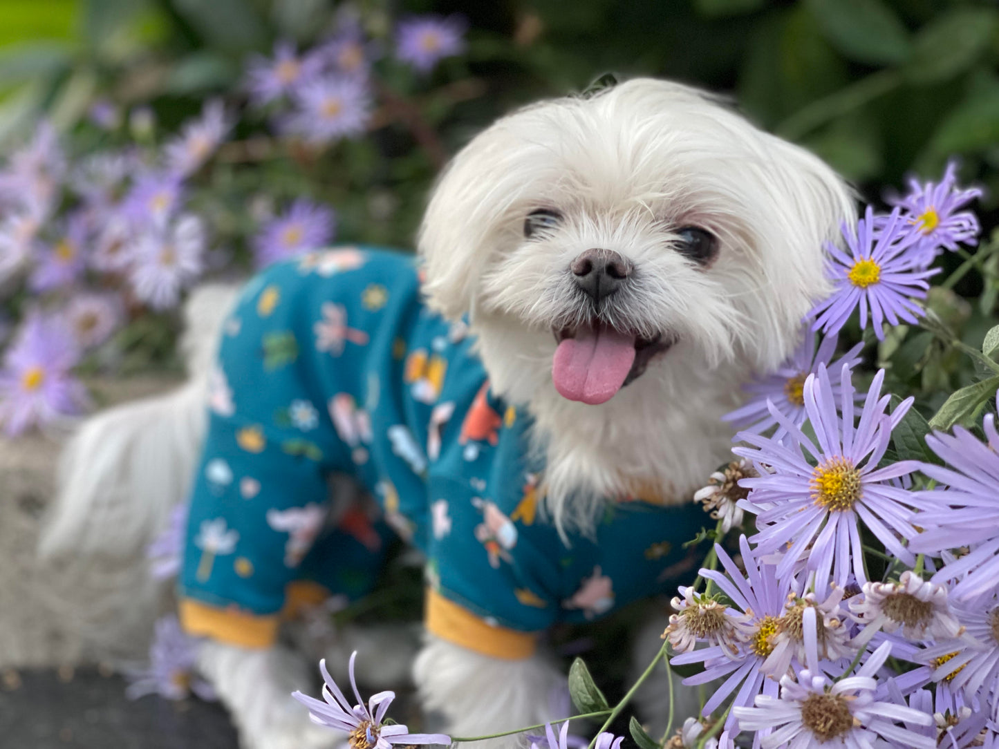 Handmade Cotton Pajamas - Hiking Bunny