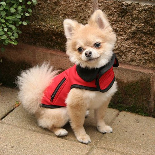 all weather technical small dog vest model