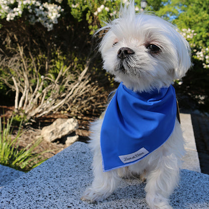 Cooling with UPF50+ Bandana - Royal Blue
