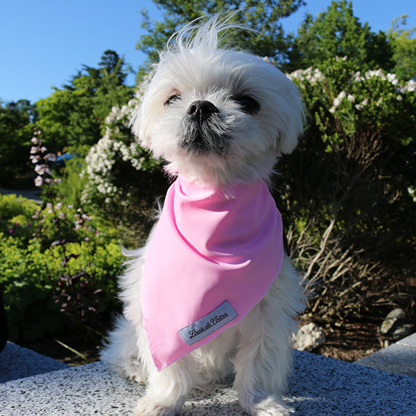 Cooling Bandana with UPF50 - Baby Pink