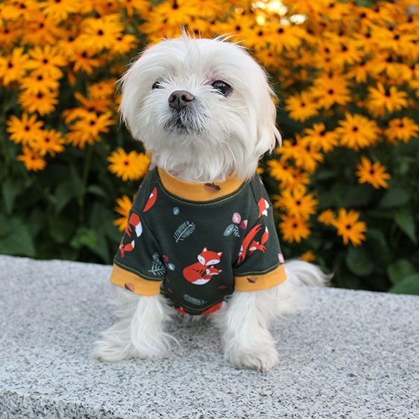 Foxy cotton dog shirt, rib knit breathable fabric