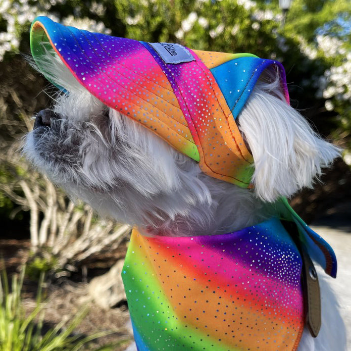 Cooling Dog Hat with UPF50+ - Black Light Activator - Rainbow Sparkle