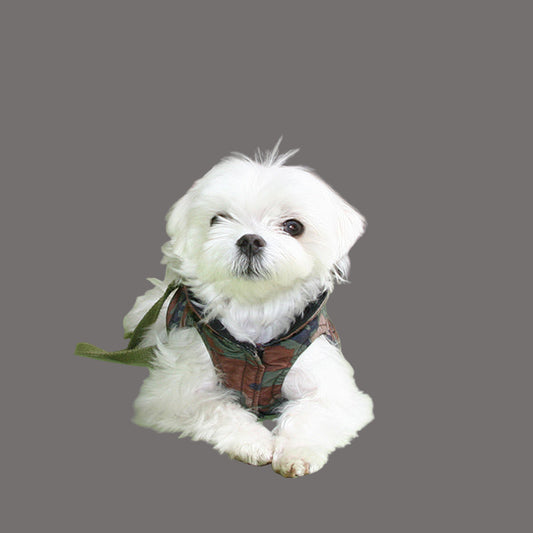 reversible puffer dog jacket camo and black, PrimaLoft insulation