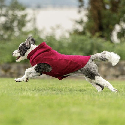 Calming Pullover Fleece Sweater For All Size Pups - Garnet