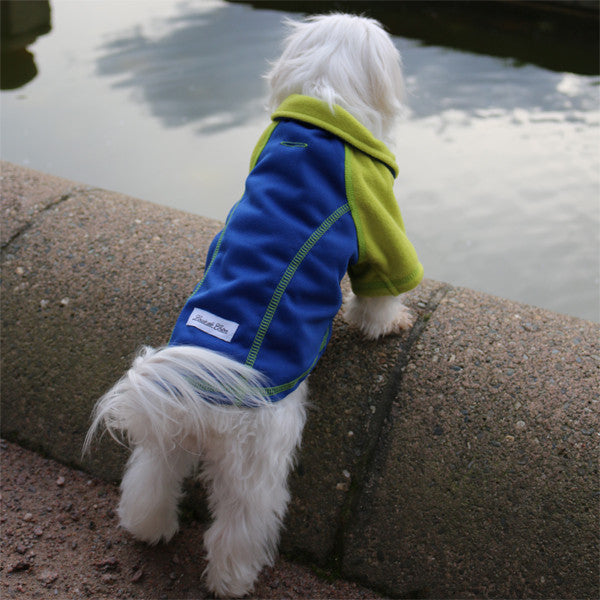 full length reflective outwear small dogs blue pet