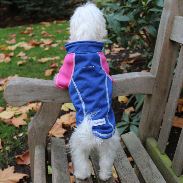 full length reflective outwear small dogs blue pet standing