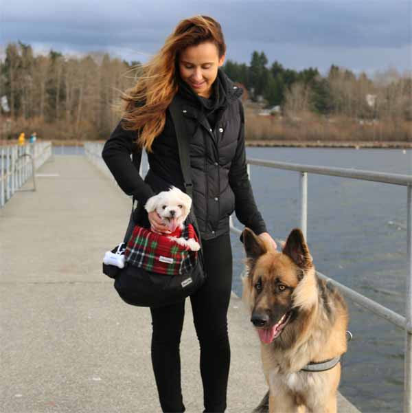 Classic Plaid small dog carrier liner blanket 2 dogs