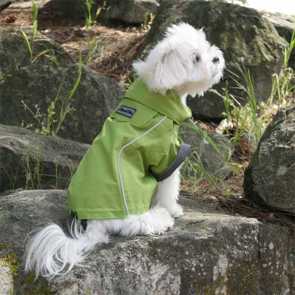 Small dog raincoat green full length rear view silhouette
